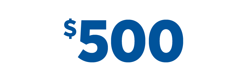 $500 Icon